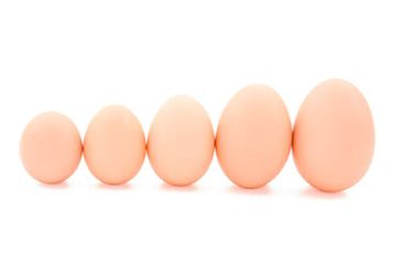 Ángel Baldomà huevos